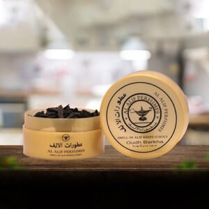 oudh-barkha-2-1.jpg