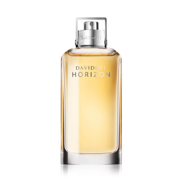Davidoff Horizon Eau De Toilette 125ml For Men