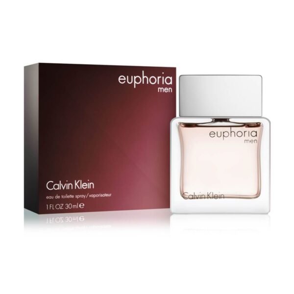 Calvin Klein Euphoria Eau De Toilette 100ml For Men