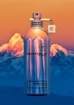 Montale Nepal Aoud Eau De Parfum 100ml For Unisex